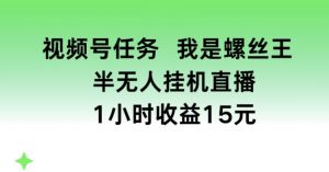 视频号任务,我是螺丝王, 半无人挂机1小时收益15元【揭秘】-资源云