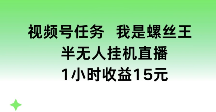 视频号任务，我是螺丝王， 半无人挂机1小时收益15元【揭秘】-资源云