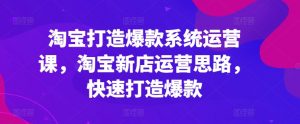 淘宝打造爆款系统运营课,淘宝新店运营思路,快速打造爆款-资源云