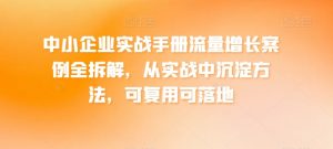 中小企业实战手册流量增长案例全拆解,从实战中沉淀方法,可复用可落地-资源云