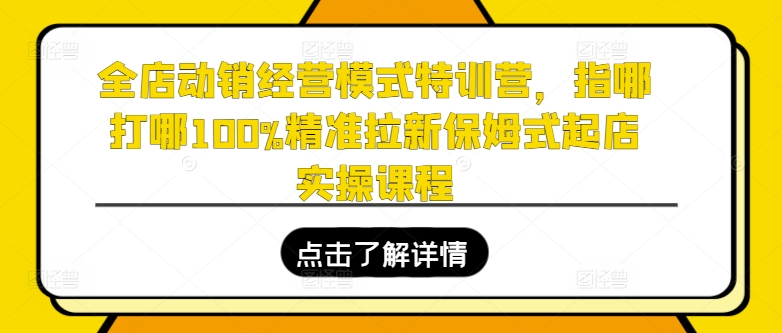 全店动销经营模式特训营，指哪打哪100%精准拉新保姆式起店实操课程-资源云