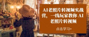 AI老照片转视频实战营,一线玩家教你AI老照片转视频-资源云