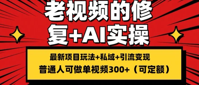 修复老视频的玩法，搬砖+引流的变现(可持久)，单条收益300+【揭秘】-资源云