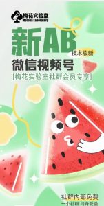 梅花实验室2024年AB技术视频号AB合成破解版-资源云