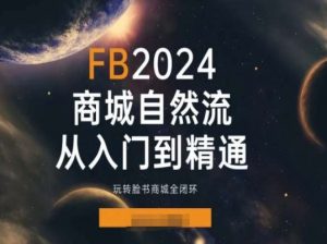 2024Faceboo商城自然流(从入门到精通)，玩转脸书商城全闭环-资源云