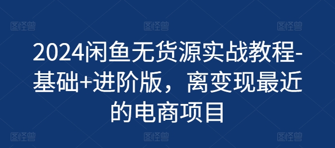 2024闲鱼无货源实战教程-基础+进阶版，离变现最近的电商项目-资源云
