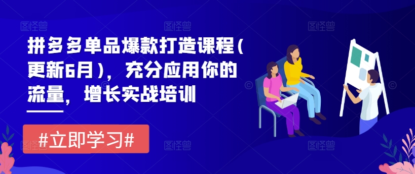 拼多多单品爆款打造课程(更新6月)，充分应用你的流量，增长实战培训-资源云