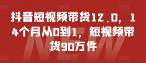 抖音短视频带货12.0，14个月从0到1，短视频带货90万件-资源云
