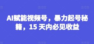 AI赋能视频号,暴力起号秘籍,15 天内必见收益【揭秘】-资源云