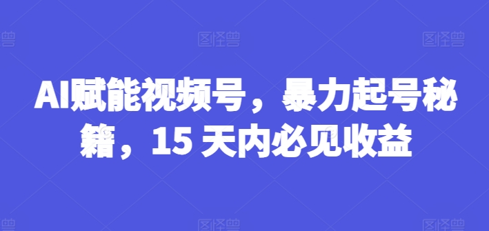 AI赋能视频号，暴力起号秘籍，15 天内必见收益【揭秘】-资源云