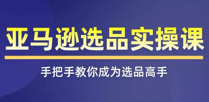 亚马逊选品实操课程，快速掌握亚马逊选品的技巧，覆盖亚马逊选品所有渠道-资源云