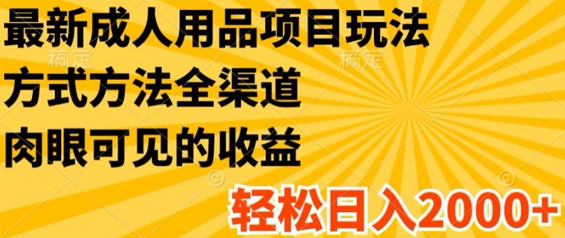 最新成人用品项目玩法，方式方法全渠道，轻松日入2K+【揭秘】-资源云