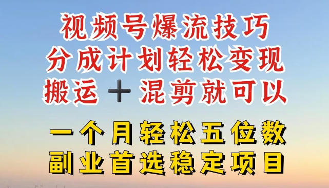 视频号爆流技巧，分成计划轻松变现，搬运 +混剪就可以，一个月轻松五位数稳定项目【揭秘】-资源云