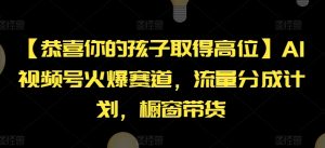 【恭喜你的孩子取得高位】AI视频号火爆赛道，流量分成计划，橱窗带货【揭秘】-资源云