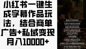 小红书一键生成字幕作品玩法,结合商单广告+私域变现月入1w+【揭秘】-资源云