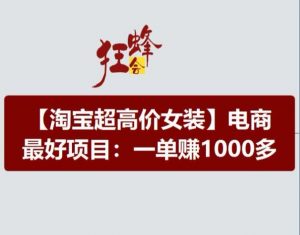 淘宝超高价女装项目,电商最好赛道,一单赚1000多-资源云
