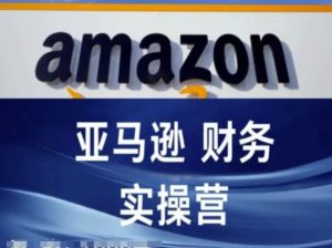 亚马逊财务核算实操营-亚马逊跨境电商教程-资源云