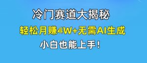 冷门赛道大揭秘,轻松月赚1W+无需AI生成,小白也能上手【揭秘】-资源云