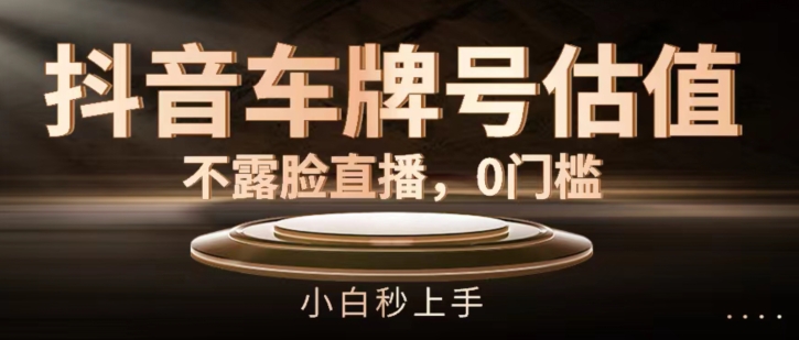 抖音车牌号估值，不露脸直播，0门槛，小白秒上手【揭秘】-资源云