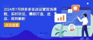 2024年7月拼多多实战运营现场课程,实时玩法,爆款打造,选品、规则解析-资源云