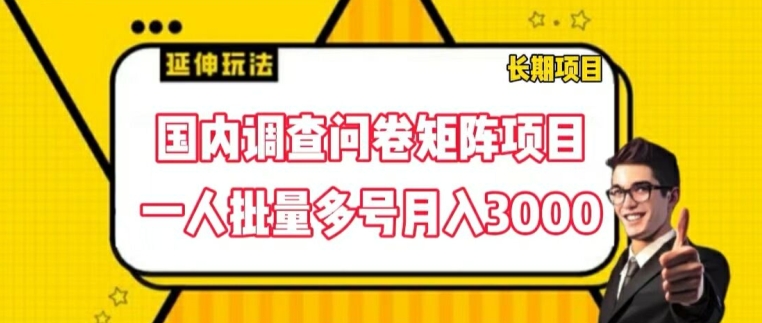 国内调查问卷矩阵项目，一人批量多号月入3000【揭秘】-资源云