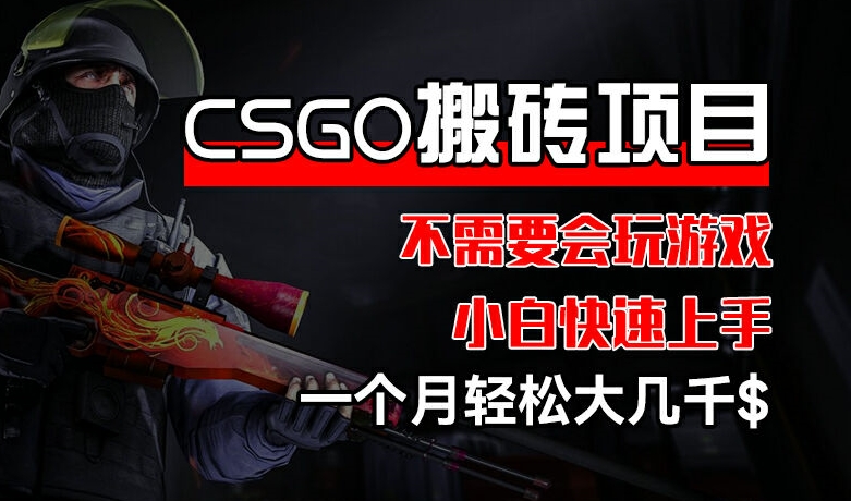 CSGO 装备搬砖项目，操作简单，不需要会玩游戏，小白也能快速上手，一个月轻松大几千【揭秘】-资源云