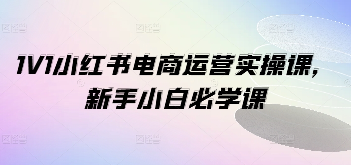 1V1小红书电商运营实操课，新手小白必学课-资源云