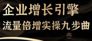 企业增长引擎流量倍增实操九步曲,一套课程帮你找到快速、简单、有效、可复制的获客+变现方式,-资源云