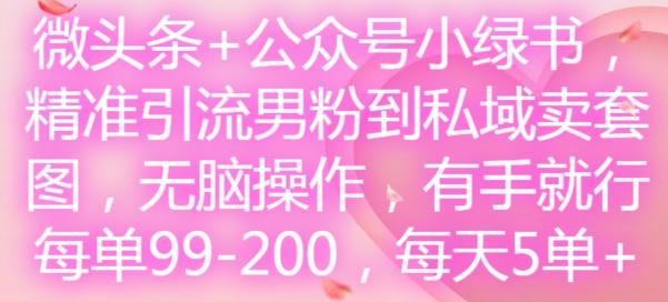 微头条+公众号小绿书，精准引流男粉到私域卖套图，无脑操作，有手就行，每单99-200，每天5单-资源云