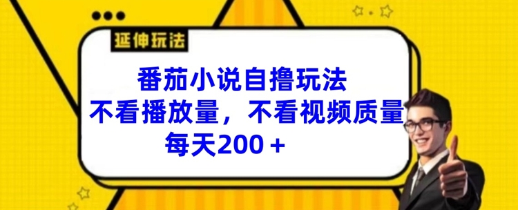 番茄小说自撸玩法，不看播放量，不看视频质量，每天200+【揭秘】-资源云