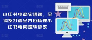 小红书电商实操课,全体系打造全方位梳理小红书电商逻辑体系-资源云