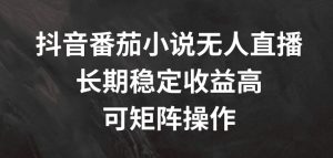 抖音番茄小说无人直播,长期稳定收益高,可矩阵操作【揭秘】-资源云