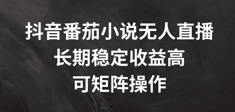 抖音番茄小说无人直播，长期稳定收益高，可矩阵操作【揭秘】-资源云