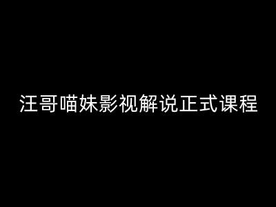 汪哥影视解说正式课程：剪映/PR教学/视解说剪辑5大黄金法则/全流程剪辑7把利器等等-资源云