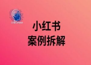 小红书案例拆解,深度解读小红书40万粉-资源云