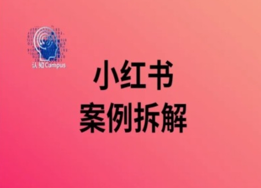 小红书案例拆解，深度解读小红书40万粉-资源云