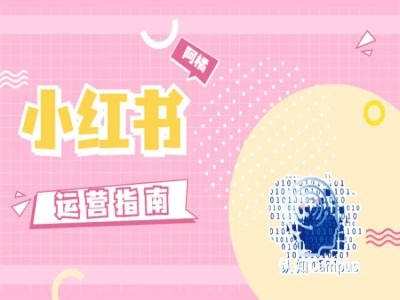 小红书运营指南，没有套路，全是经验-资源云