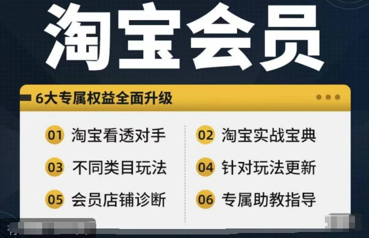 淘宝会员【淘宝所有课程，全面分析对手】，初级到高手全系实战宝典-资源云
