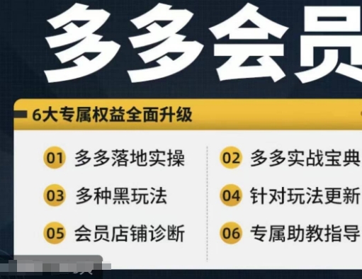 拼多多会员，拼多多实战宝典+实战落地实操，从新手到高阶内容全面覆盖-资源云