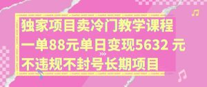 独家项目卖冷门教学课程一单88元单日变现5632元违规不封号长期项目【揭秘】-资源云