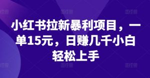 小红书拉新暴利项目,一单15元,日赚几千小白轻松上手【揭秘】-资源云