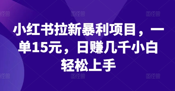 小红书拉新暴利项目，一单15元，日赚几千小白轻松上手【揭秘】-资源云