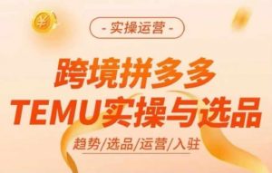 跨境拼多多TEMU实操与选品,多多temu跨境选品运营实操-资源云