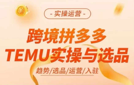 跨境拼多多TEMU实操与选品，多多temu跨境选品运营实操-资源云