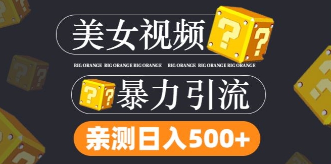 搬运tk美女视频全网分发，日引s粉300+，轻松变现，不限流量不封号【揭秘】-资源云