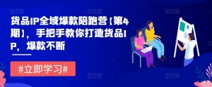 货品IP全域爆款陪跑营【第4期】,手把手教你打造货品IP,爆款不断-资源云