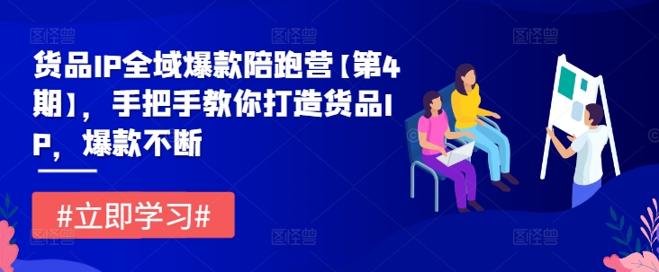 货品IP全域爆款陪跑营【第4期】，手把手教你打造货品IP，爆款不断-资源云