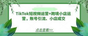 TikTok短视频运营+跨境小店运营,账号引流、小店成交-资源云