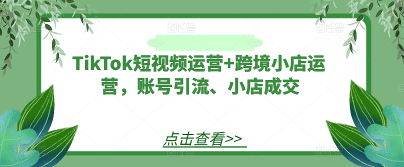 TikTok短视频运营+跨境小店运营，账号引流、小店成交-资源云