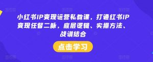 小红书IP变现运营私教课，打通红书IP变现任督二脉，底层逻辑、实操方法、战训结合-资源云